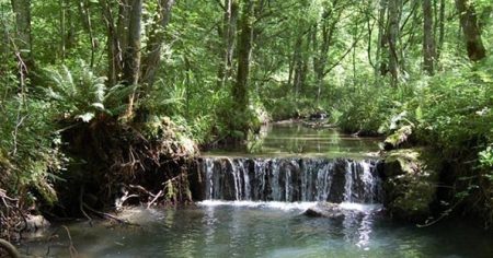 agua agora