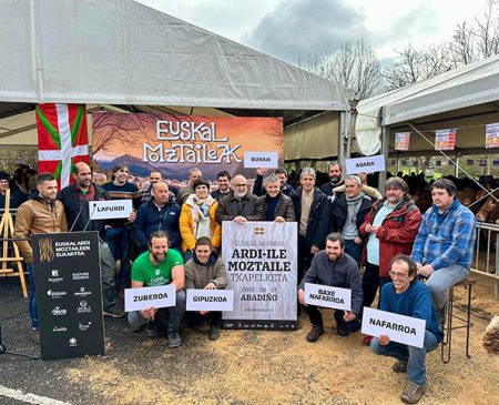 Campeonato de esquilar ovejas de Euskal Herria esquilar