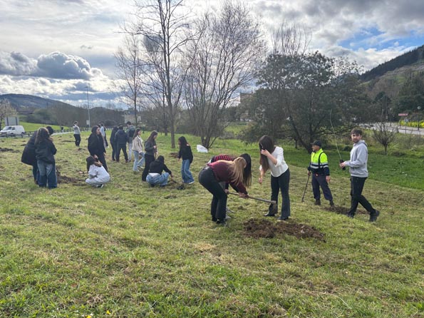 Amorebieta-Etxano planta 50 robles autóctonos Un momento de la plantación. (AU)
