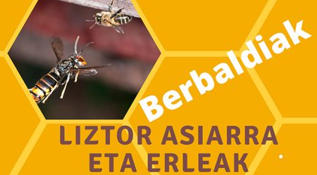 Jornada de formación para combatir el avispón asiático LIZTORRA HITZALDIA AMOREBIETA ETXANO 2025