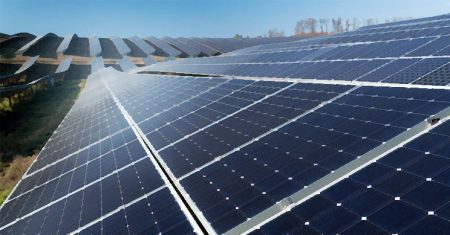 La mayor planta solar de Bizkaia estará en Usansolo huerto solar