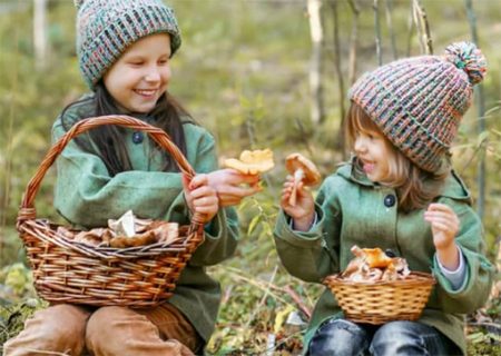 Excursión infantil y exposición micológica setasninos