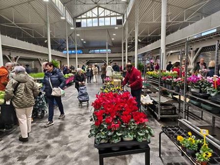 Plazo para solicitar puestos en el Mercado Baserritarra Aspecto del nuevo mercado. (DU)