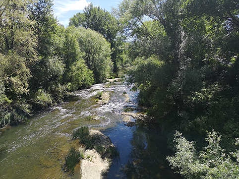 Basauri ya ha elegido entre los proyectos para incorporar al presupuesto río