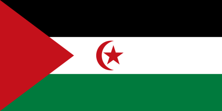 Basauri apoya ‘Oporrak bakean’, programa de acogida a niños saharauis bandera saharaui