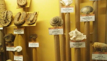 Balance positivo de Hontza Museoa para 2025 Un sector del museo. (HM)