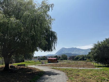 Huertos de Abadiño. (AU)
