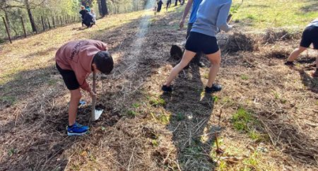 Un momento de la plantación de árboles. (DU)